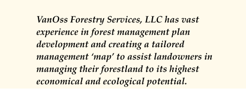 VanOss Forestry Services, LLC has vast experience in forest management plan development and creating a tailored management ‘map’ to assist landowners in managing their forestland to its highest economical and ecological potential.