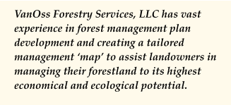 VanOss Forestry Services, LLC has vast experience in forest management plan development and creating a tailored management ‘map’ to assist landowners in managing their forestland to its highest economical and ecological potential.